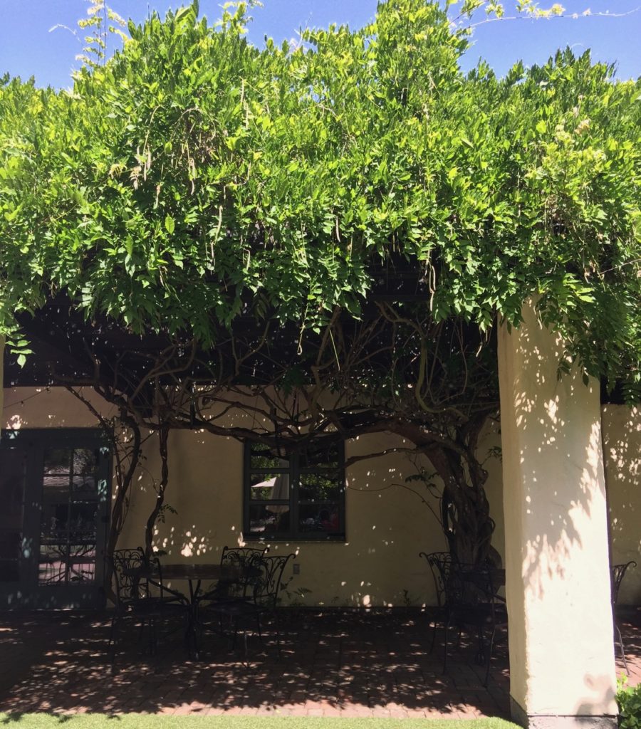 Cafe at the Allied Arts Guild