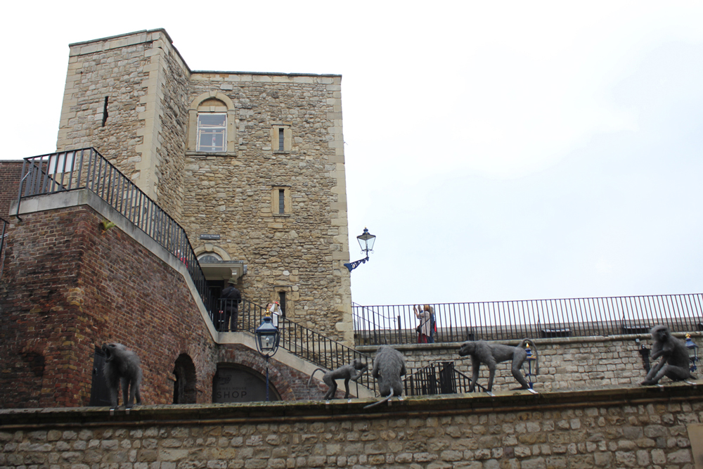 Monkeys at the tower of London