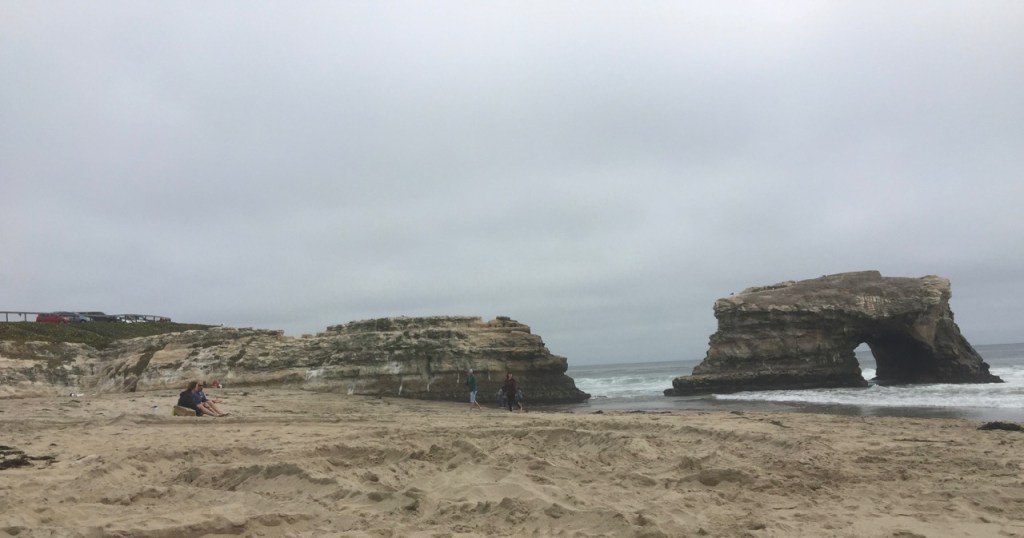 Natural Bridges State Beach