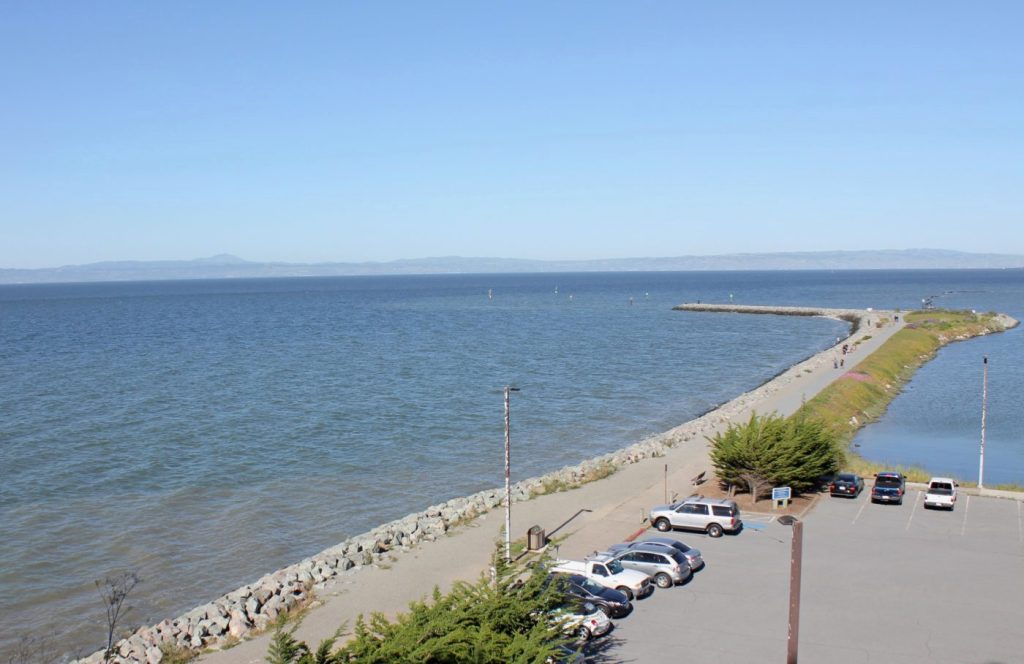View from the Marina Overlook
