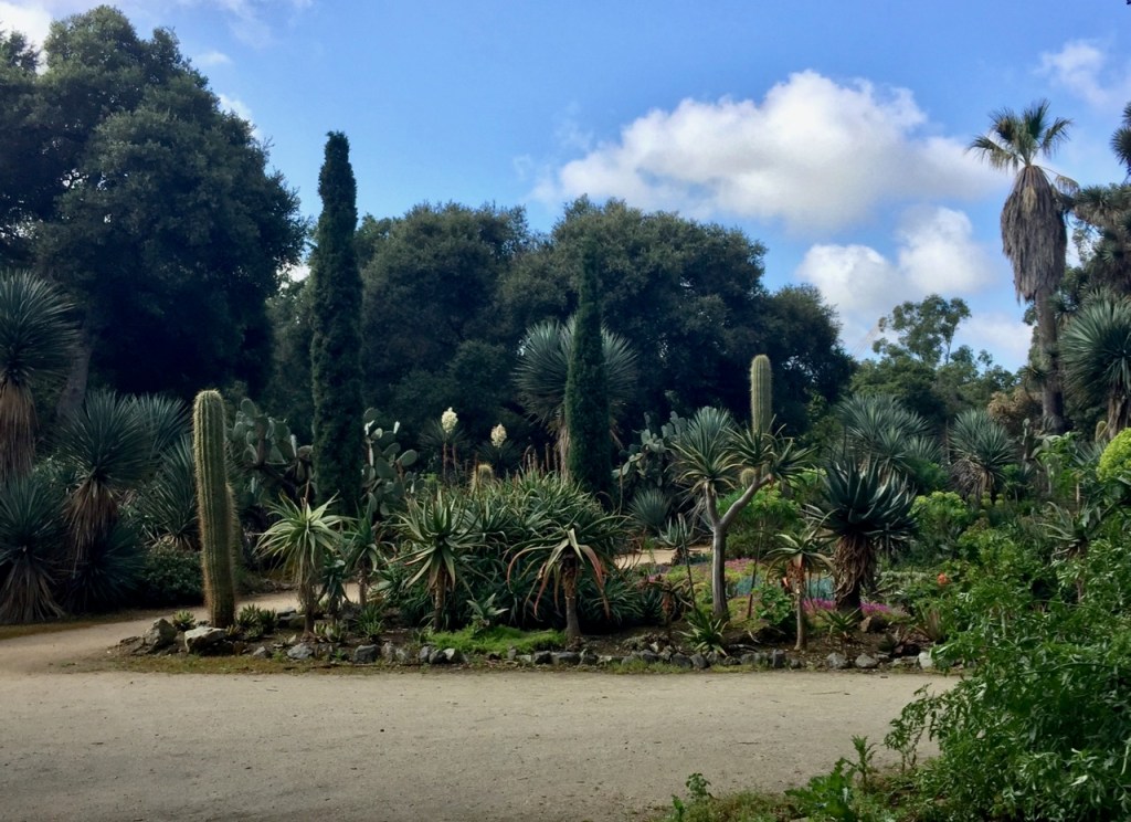 Arizona Cactus Garden Free in Palo Alto