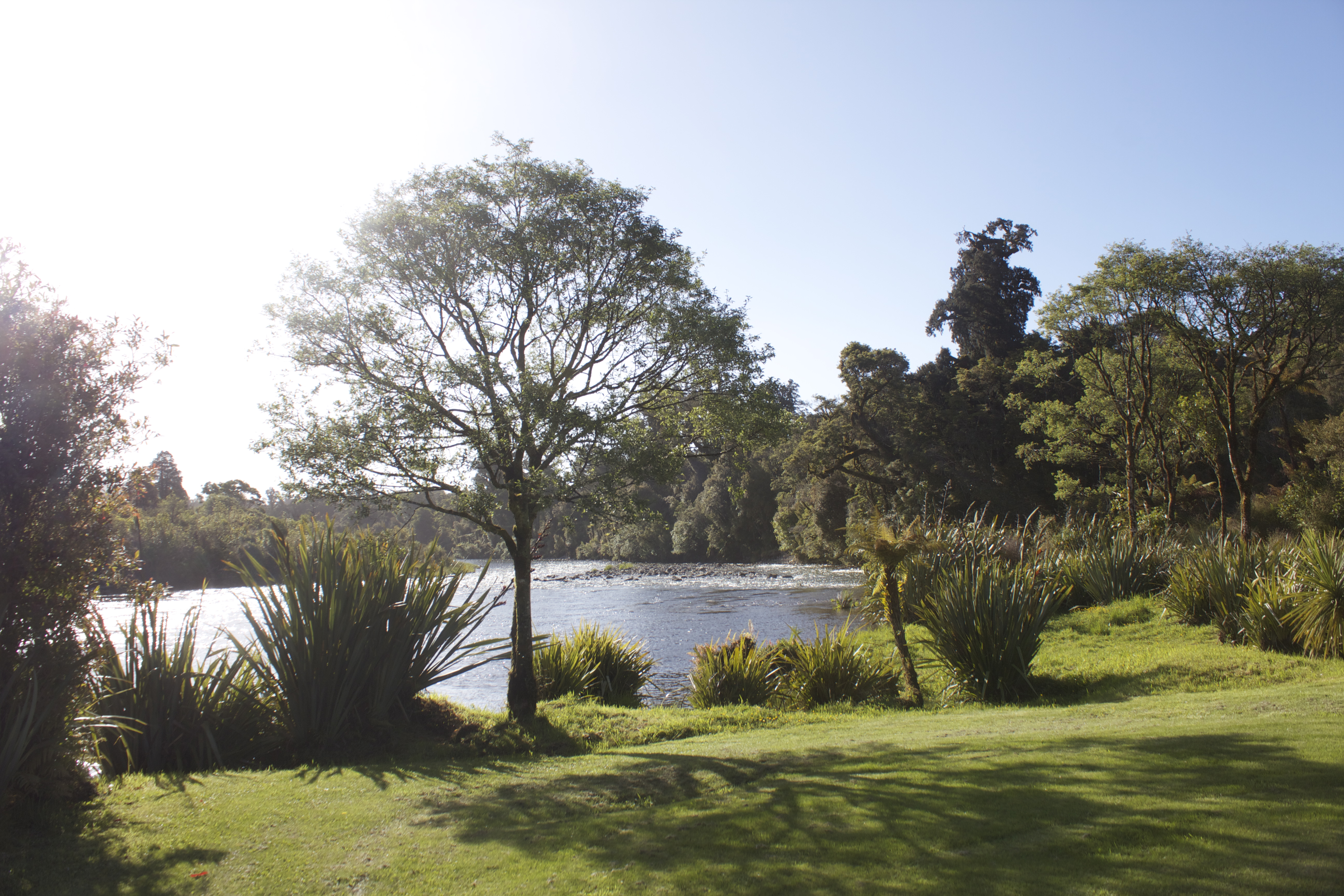 Lake Moeraki is a great free stop in New Zealand