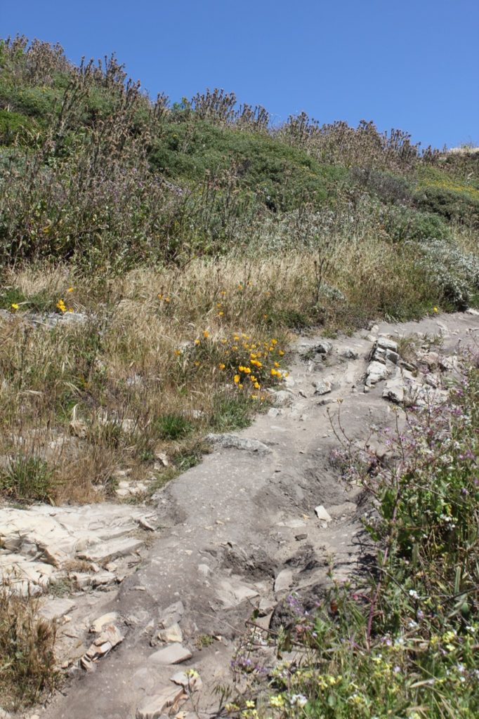 Path to Sand Plant Beach