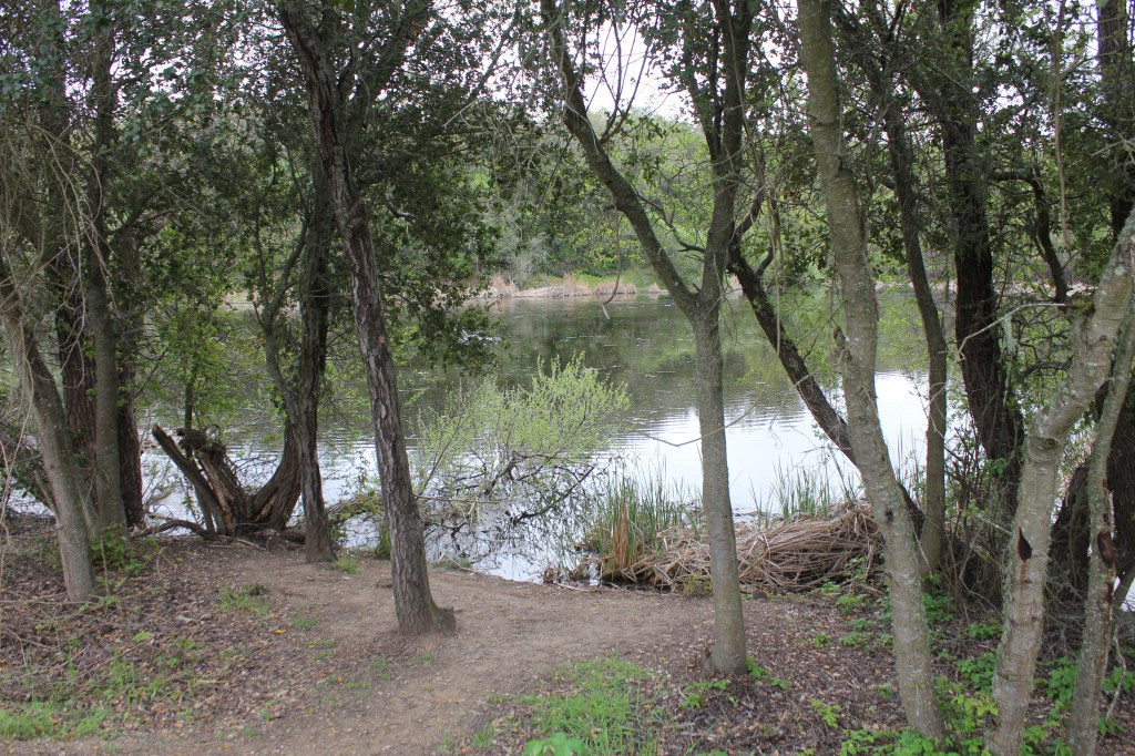 Hikes and Rambles: Pearson-Arastradero Preserve (Palo&nbsp;Alto)