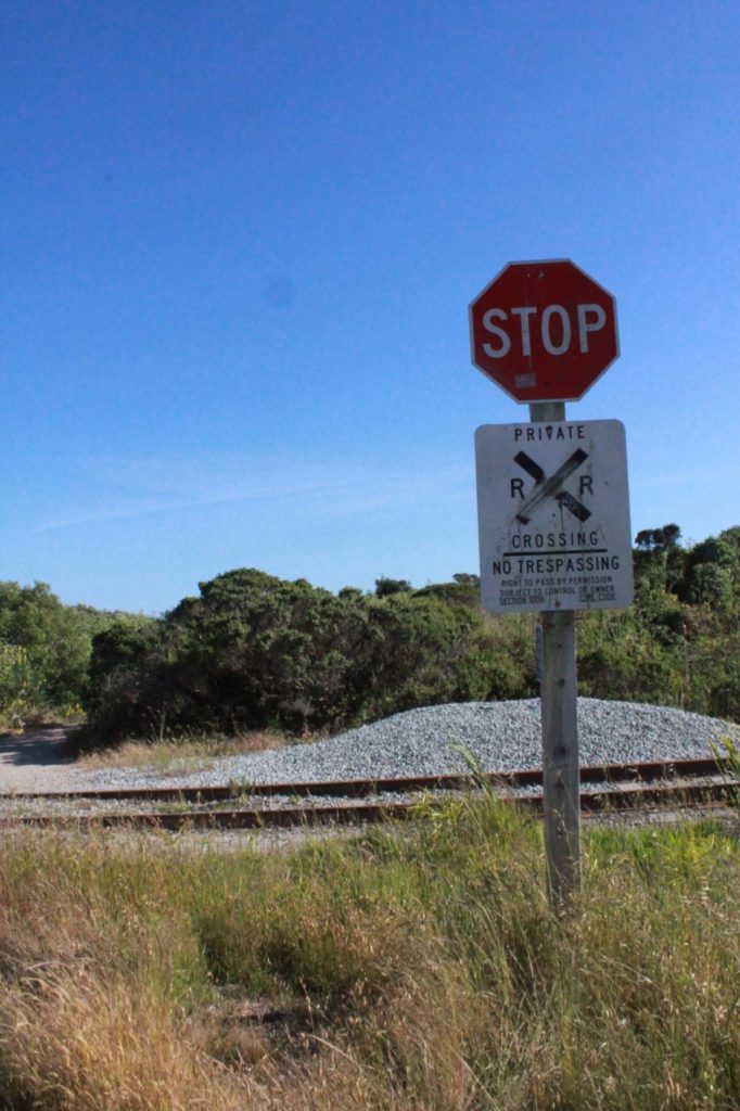 Stop Sign at Wilder Ranch