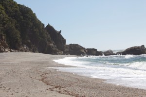 Penguin in the distance