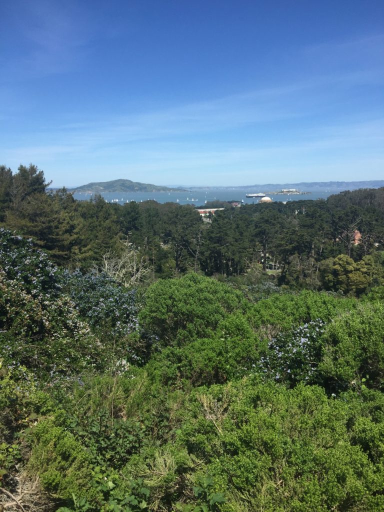 Hikes and Rambles: The&nbsp;Presidio