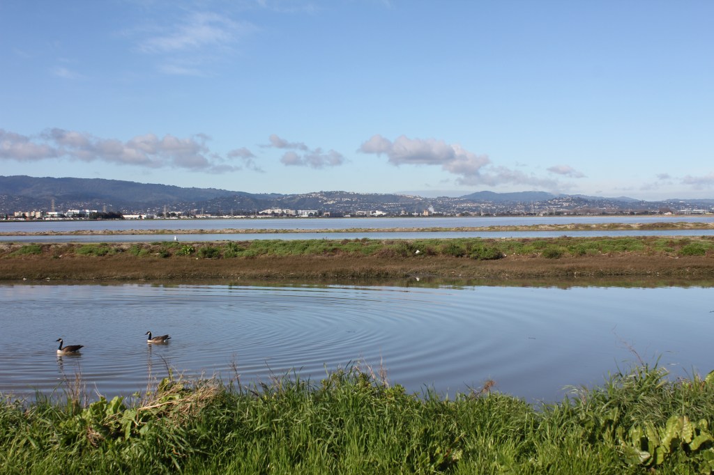 Upcoming Cultural Celebrations in Silicon&nbsp;Valley