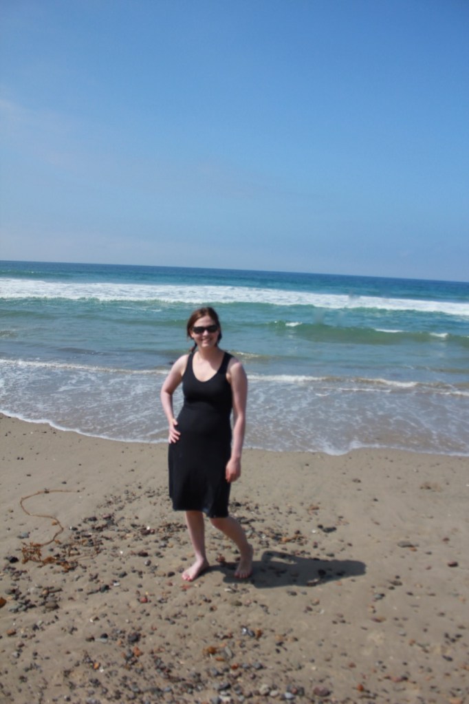 North Face Getaway Dress in Malibu