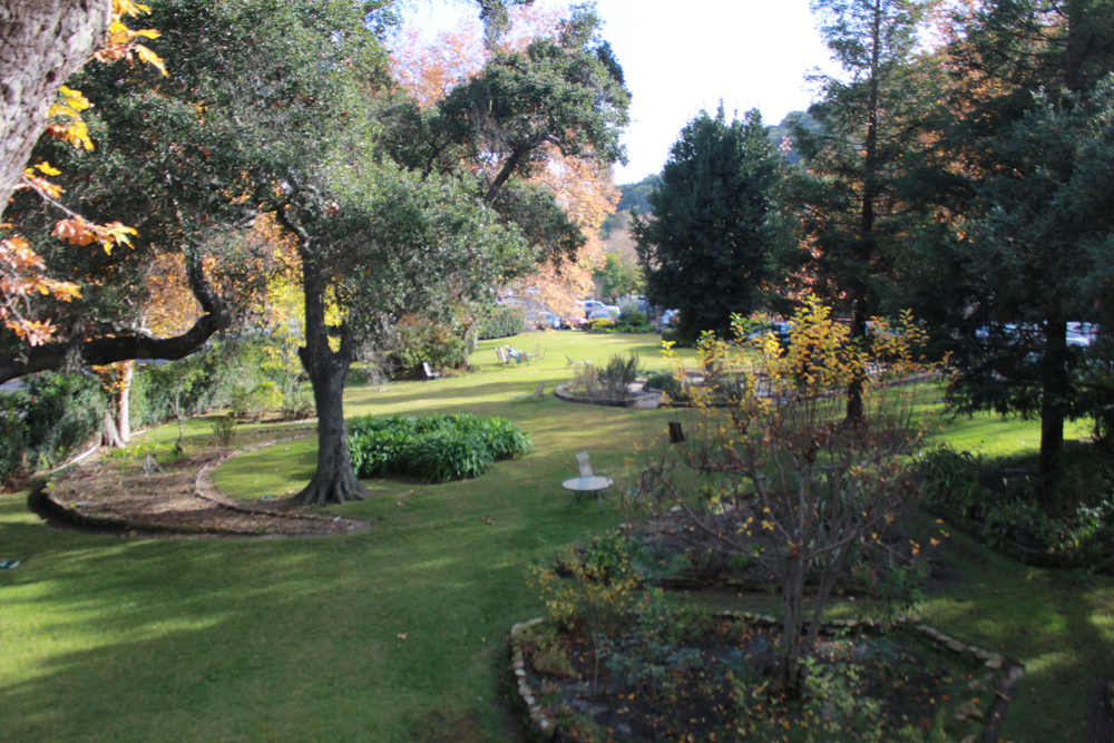 Sycamore Springs Lawn