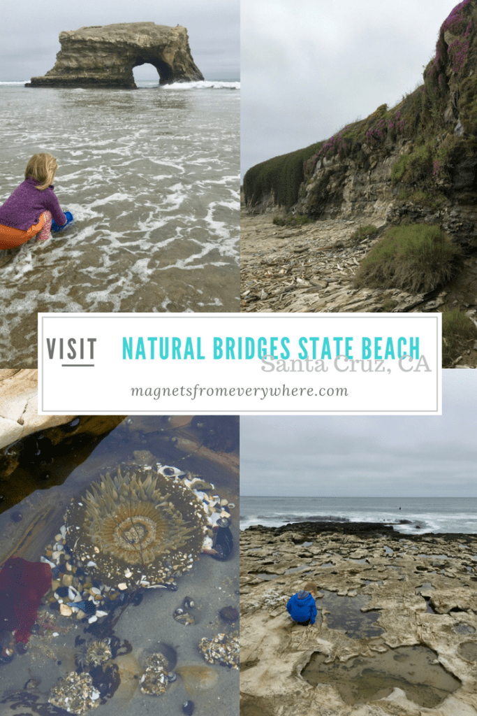 Natural Bridges State Beach
