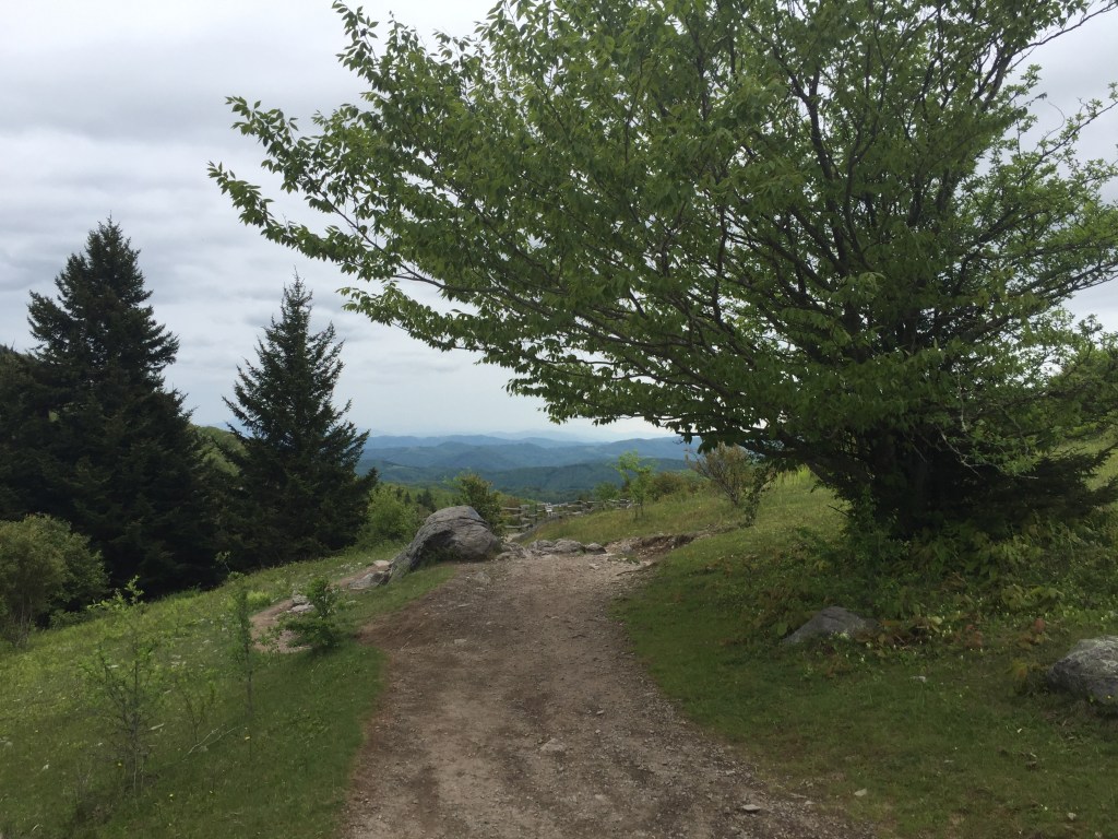 Hikes and Rambles: Grayson Highlands State&nbsp;Park