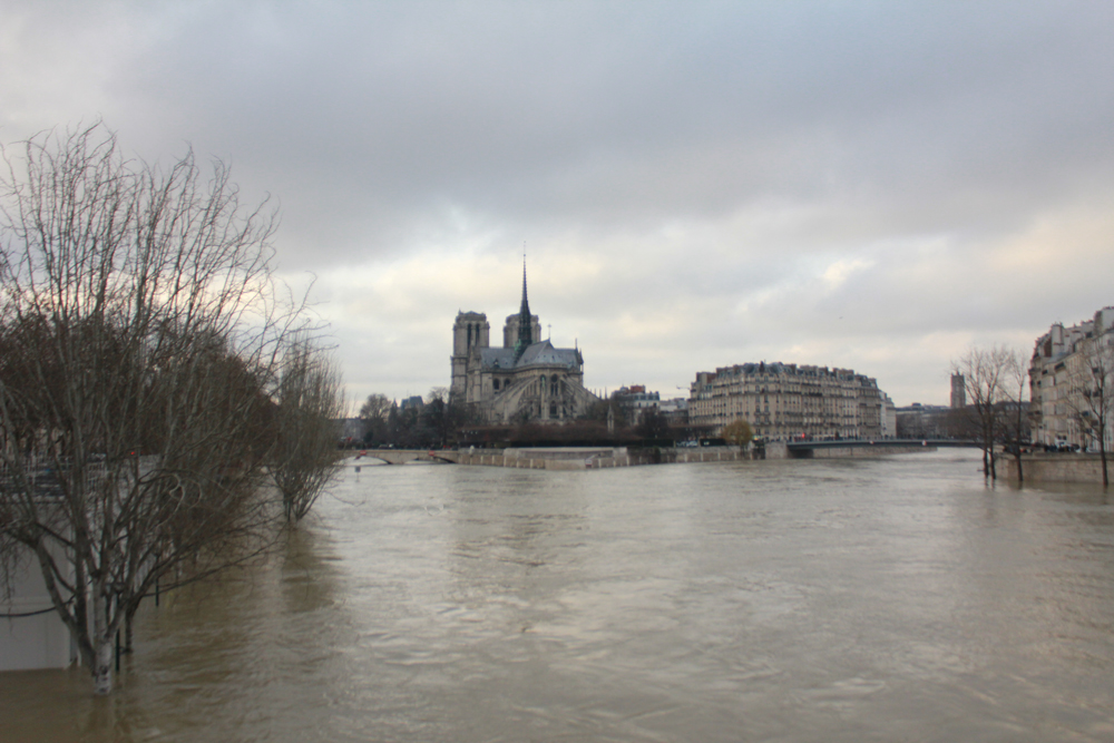 Notre Dame