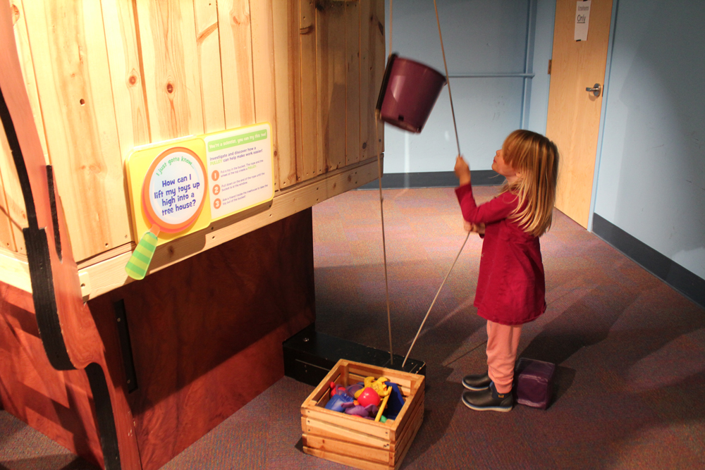 Pulley and tree house 