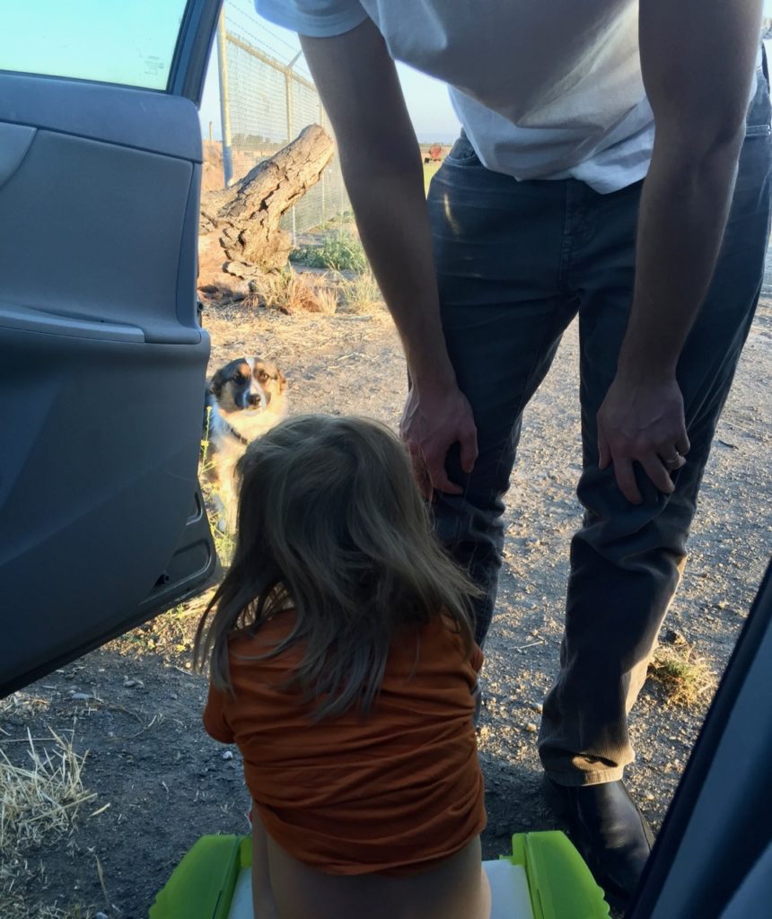 Potty break on the side of the road