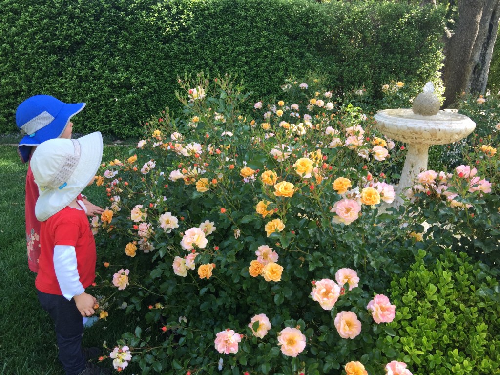 Kids smelling the roses at the Allied Arts Guild