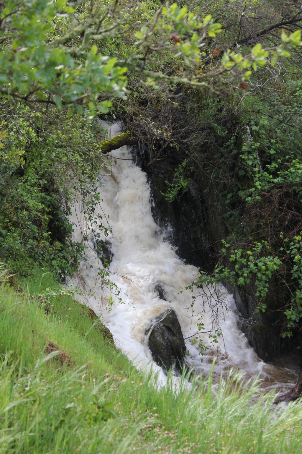 Hikes and Rambles: Hidden Falls Regional Park&nbsp;(Auburn)