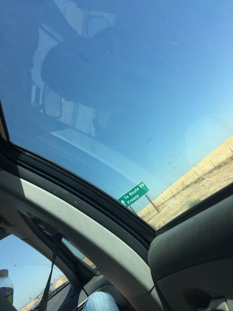 The view from the backseat on a road trip