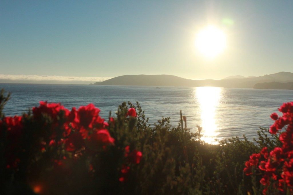 July Sunset in Pismo Beach