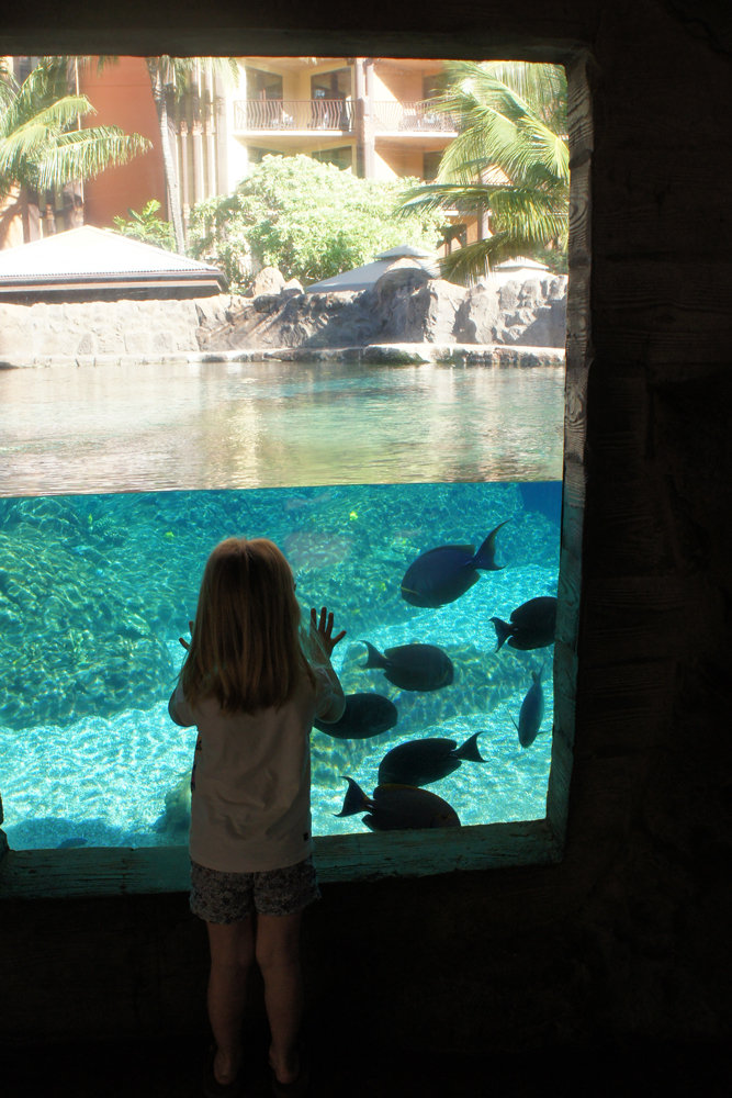 Fish Viewing at Aulani