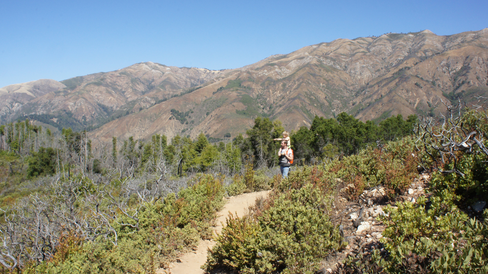 Camping Essentials with Toddlers Hiking