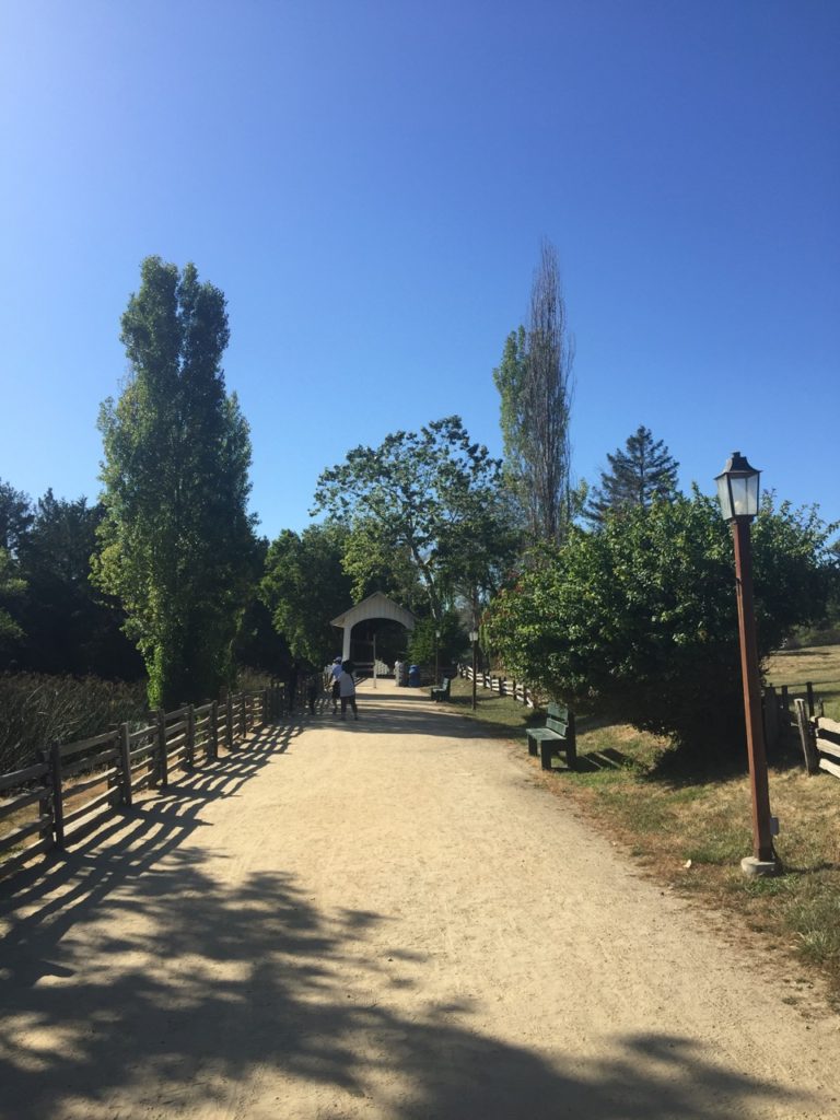 Roaring Camp Railroad