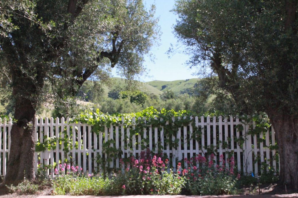 View from the courtyard