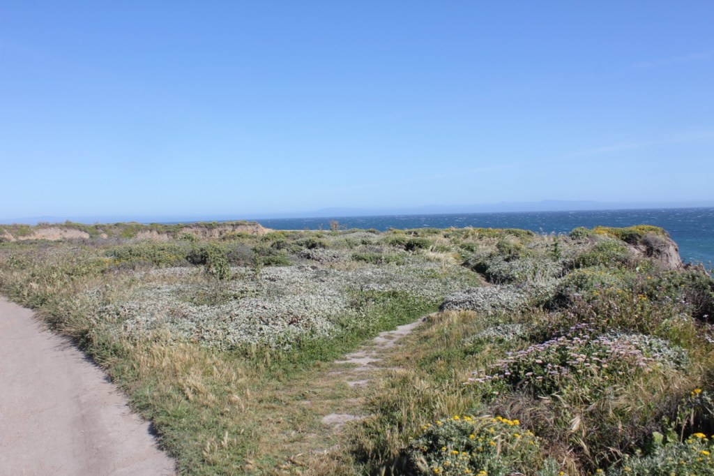 Wilder Ranch Cliff Top