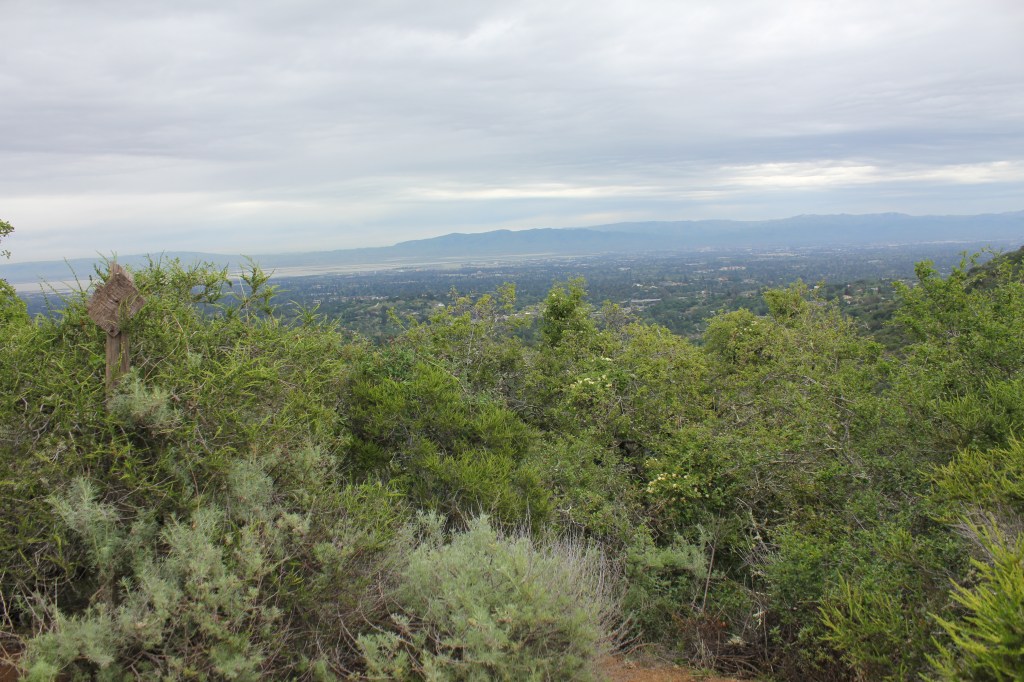 Hikes and Rambles: Hidden Villa, Elephant Mountain Loop (Los&nbsp;Altos)