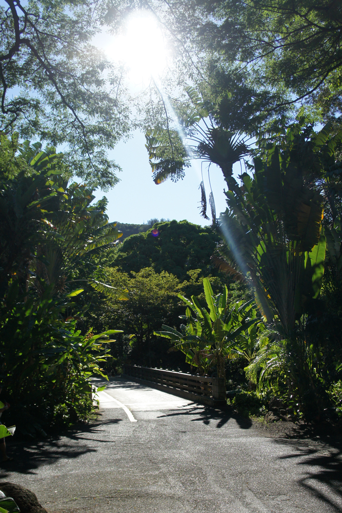 North Shore Waimea Falls