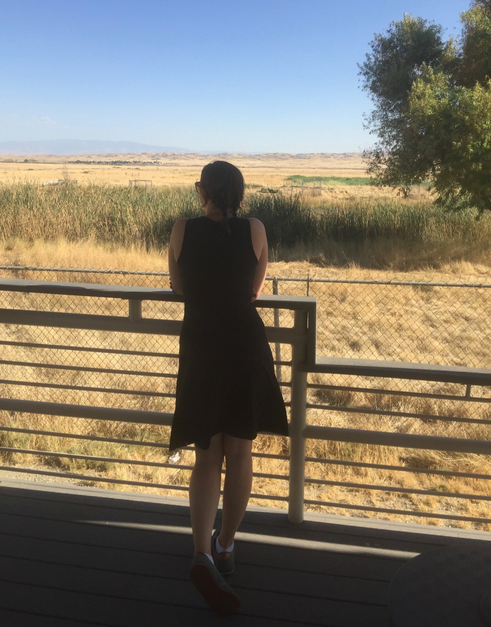 The perfect travel dress