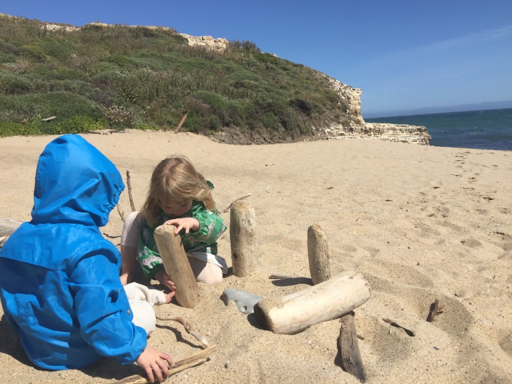 Building with driftwood