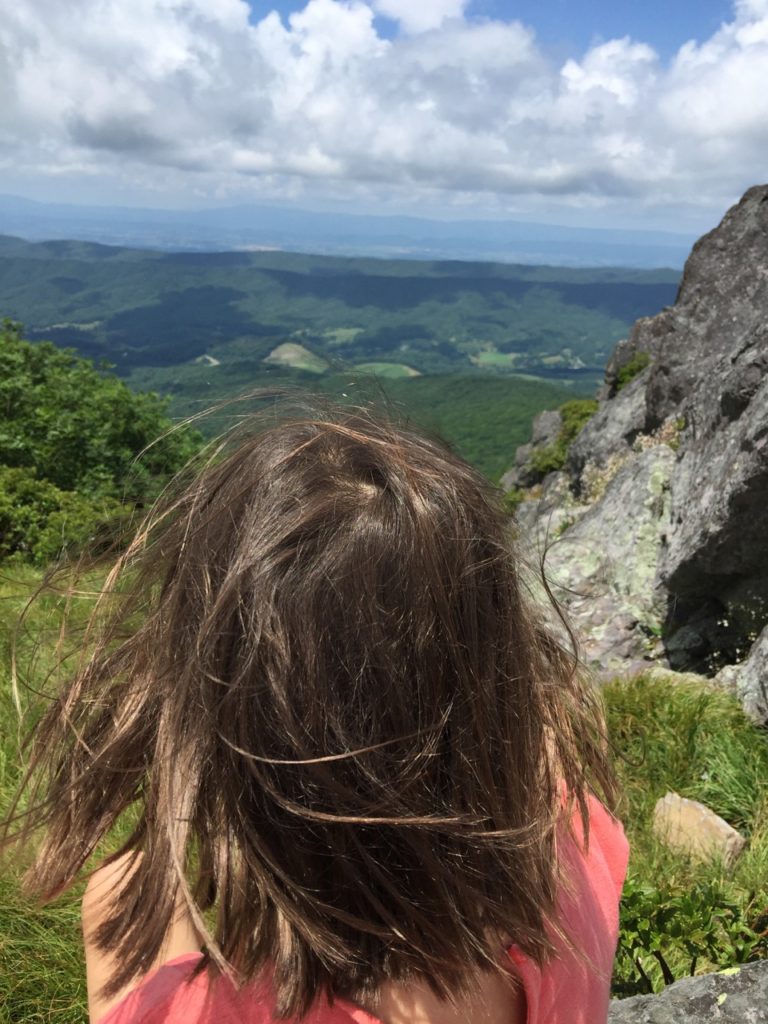View from Buzzard Rock in Summer
